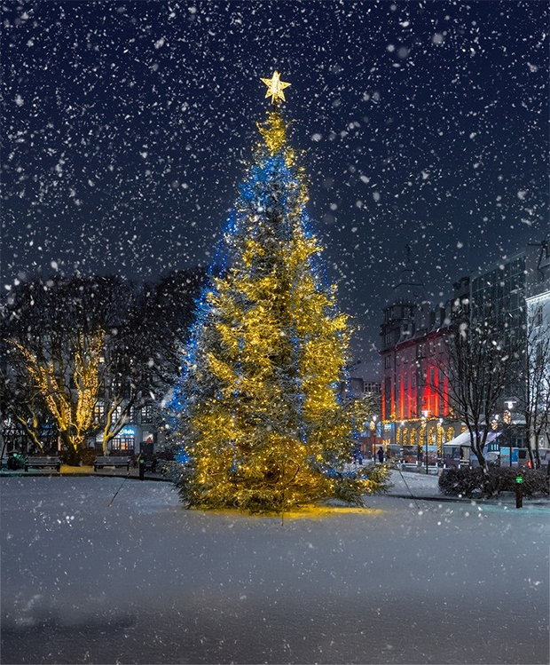 Oslo Tree lit by Christmas lights during snowfall on Austurvöllur.