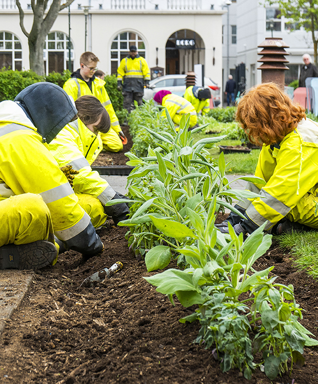 Sumarstarfsfólk gróðursetur plöntur í beð á Austurvelli.