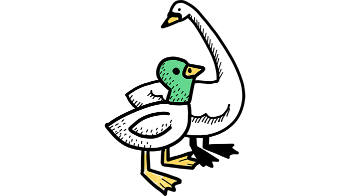 Teikning af álft og önd.