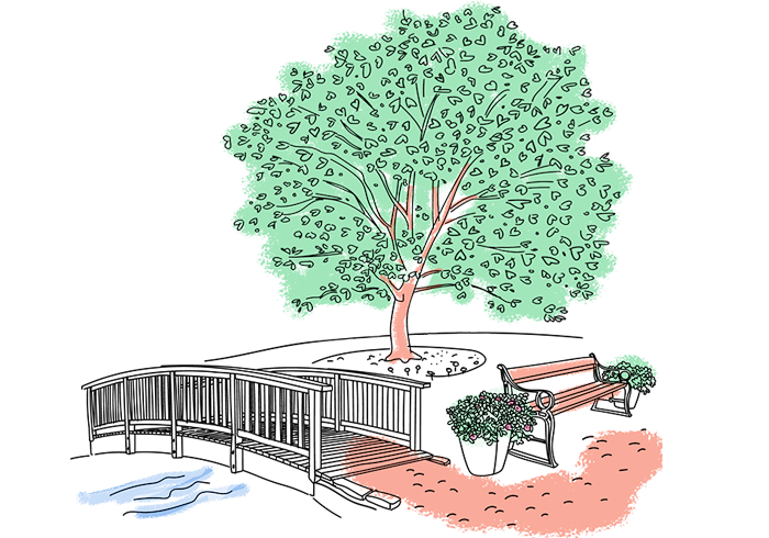 Illustration of the bridge in the Botanic Garden and a tree.