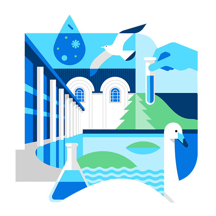 Teikning af álft á tjörninni, Listasfni Íslands og Ráðhúsinu.