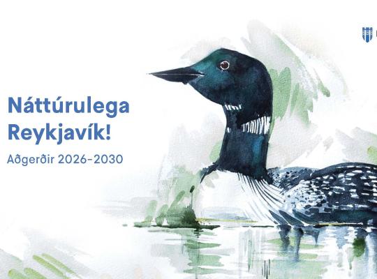 Forsíðumynd af teiknaðri önd