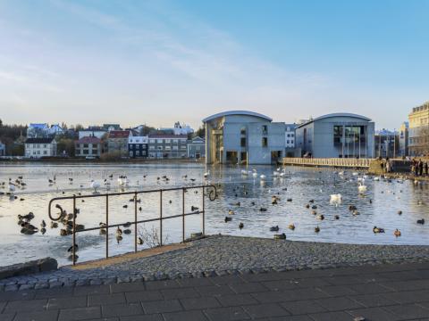Tjörnin og Ráðhús Reykjavíkur