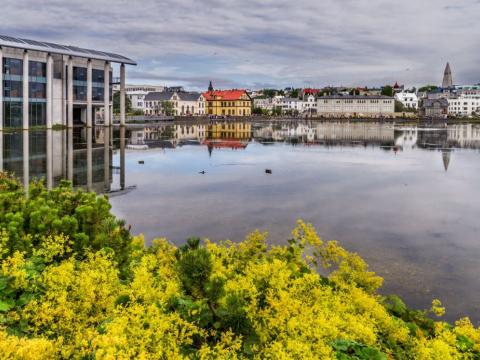 Séð yfir Tjörnina frá Suðurgötu