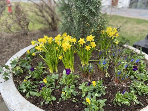 Páskaskreytingar í keri í miðborginni.