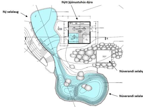 Teikning af nýrri selalaug.