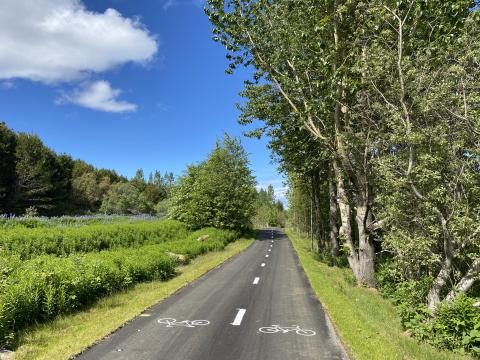 Hjólastígur í Elliðaárdal.