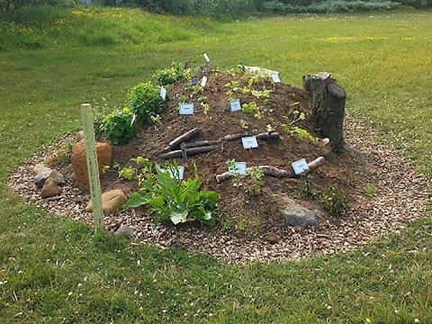Hraukabeð með kryddjurtum og ætum blómum.