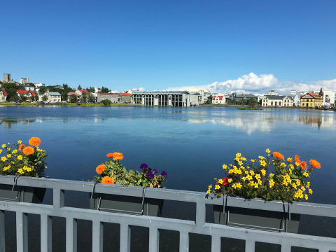 Ráðhúsið séð frá brúnni yfir Skothúsveg.