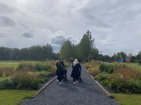 Fjölæringabeð í Hljómskálagarðinum.