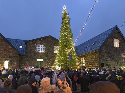 Jólatréð er fallega skreytt og sómir sér vel á Tinghúsvellinum í Þórshöfn