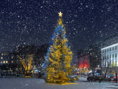 Oslóartréð á Austurvelli, skreytt, í snjókomu