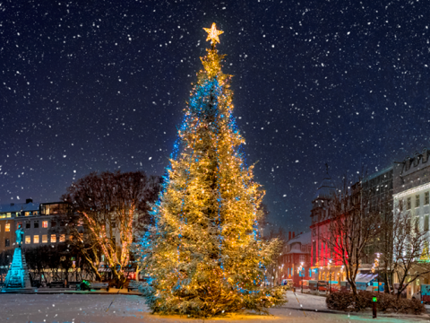 Oslóartréð á Austurvelli