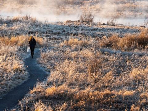 Kona á gangi í Vatnsmýrinni