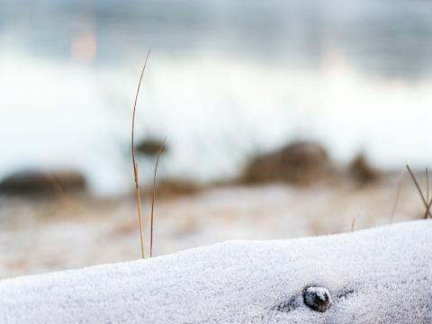 Hlutlaus mynd af kuldatíð, efsti bútur af trégirðingu í nærmynd, óskýrt í bakgrunni klaki og snjór. Strá sjást líka.