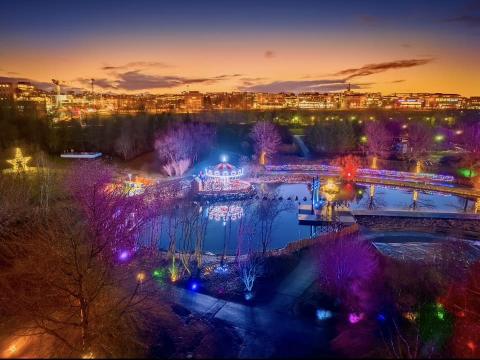 Ljósaskipti við Tjörnina í Fjölskyldugarðinum og jólaljós gefa frá sér fjólubláa, gula og rauða birtu.