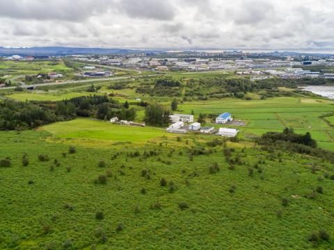 Yfirlitsmynd yfir Keldnaland