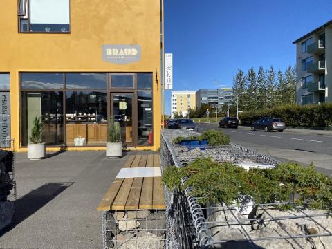 Bekkir og gróður á Laugalæk.