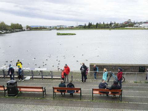 Yfirlitsmynd yfir Tjörnina. Fólk situr á bekk, fuglar og sýn yfir hólmann.