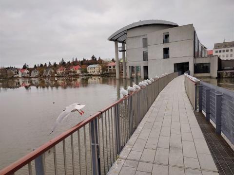 Ráðhús Reykjavíkur, séð frá brú