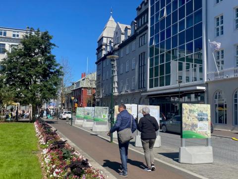 Gras og blóm á Austurvelli, fólk á gangi, ljósmyndasýning á stöplum við Pósthússtræti.