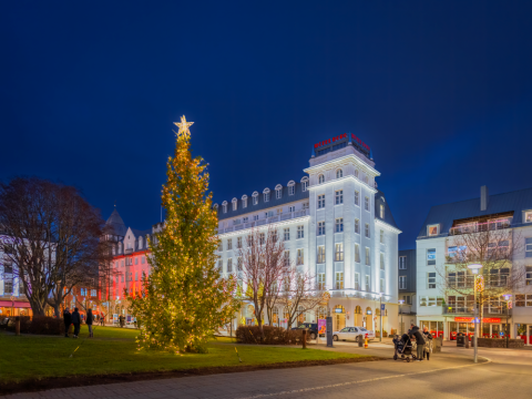 Oslóartréð á Austurvelli 