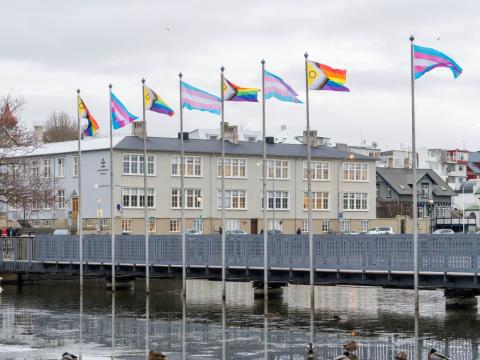Trans og Progressive Pride fánar blakta við hún á göngubrúnni við Ráðhúsið