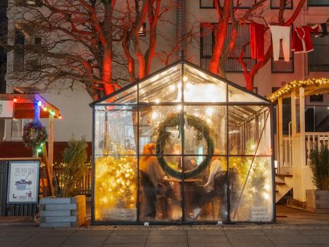 Jólaskraut og gróðurhús.