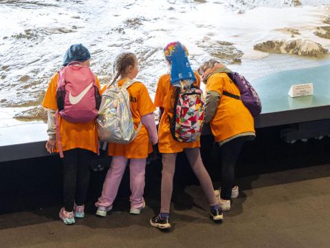 Fjórar stelpur skoða Íslandskortið í Ráðhúsi Reykjavíkur. 