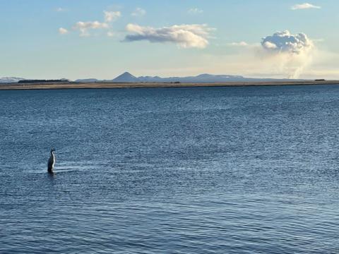 Eldgos á Reykjanesi sést yfir hafið frá Reykjavík