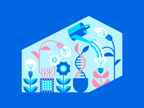 Gróðurhúsið - Nýsköpun 2024