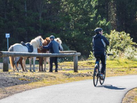 Frá útivistarsvæði við Rauðavatn í ágúst