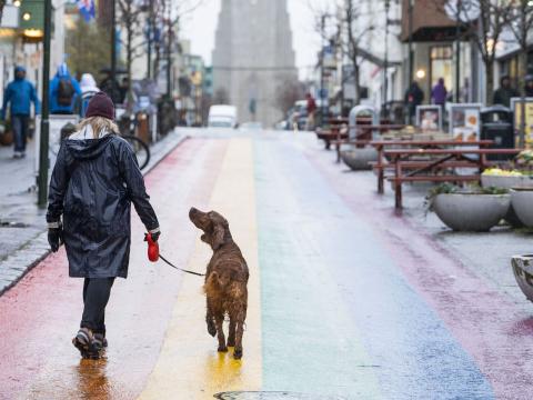 A woman walks her dog up the rainbow on Skólavörðustígur.