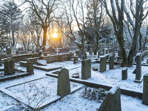 Legsteinar og tre í kirkjugarði. Snjór á jörðinni.