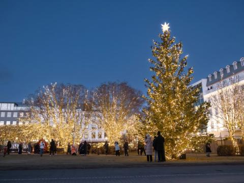 Oslóartréð á Austurvelli