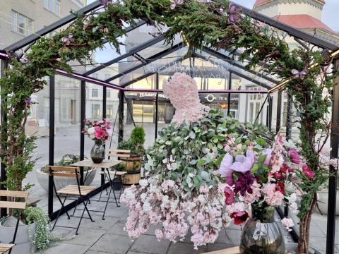 blóm, sígrænar plöntur, gróðurhús úr gleri, stólar og borð.