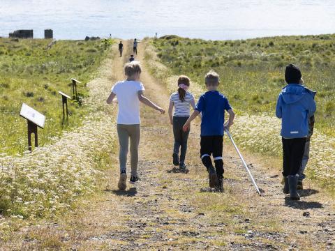 A group of children running along a country road