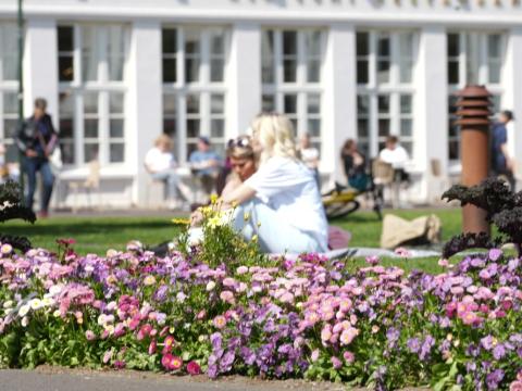 Sumarblómin gefa mannlífinu lit á Austurvelli.