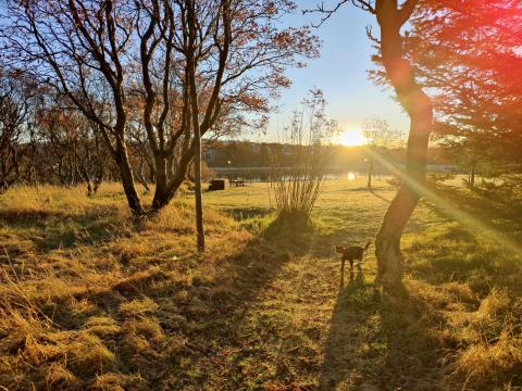 Icelandic Nature Day is celebrated on Sept. 16 each year.
