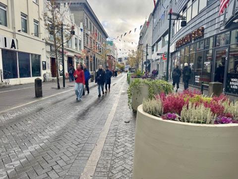 People walking on a street, plants in planters.