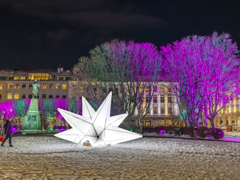 Light artwork at Austurvöllur during the 2022 Winter Lights Festival. Large white illuminated star, darkness outside, purple illuminated tree.