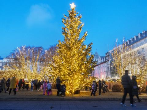 The Oslo Christmas Tree at Austurvöllur lit up. Taken from the parliament building, silhouetted, people around the tree