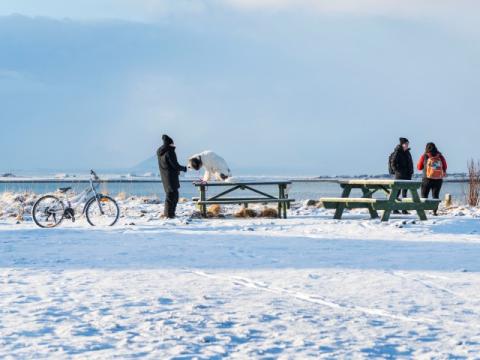 At Ægisíða: a bicycle, a person with a dog, and people chatting.