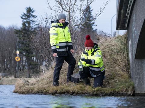 Sýnataka úr Tjörninni
