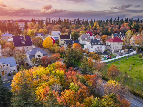Loftmynd af gróðri og húsum í miðborg Reykjavíkur.