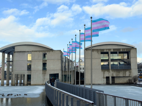 Trans fánar við Ráðhúsið alþjóðlegum sýnileikadegi trans fólks