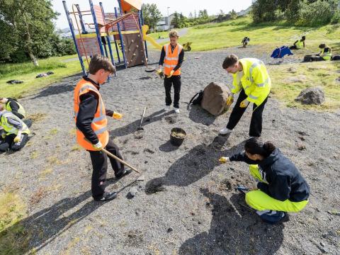 Krakkar að raka og vinna við hreinsun.