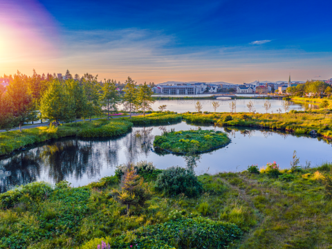 Tjörnin