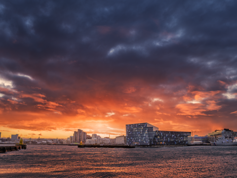 Reykjavík við sjóinn