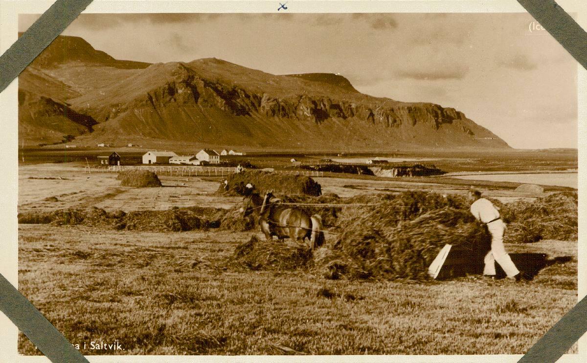Heyskapur í Saltvík um 1920 til 1946. Ljósmynd  Hið Konunglega Danska Landfræðifélag. Ljósmynd Sophie Petersen. Myndasafn danska þjóðminjasafnsins. 